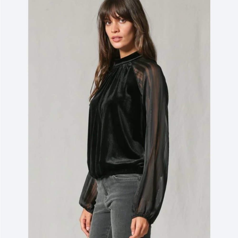 Thick Velvet Sheer long sleeve ruffle bottom sleeve top